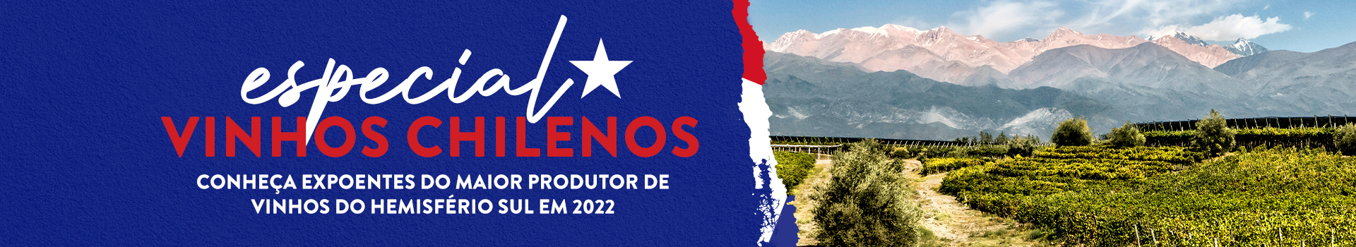Especial Vinhos Chilenos