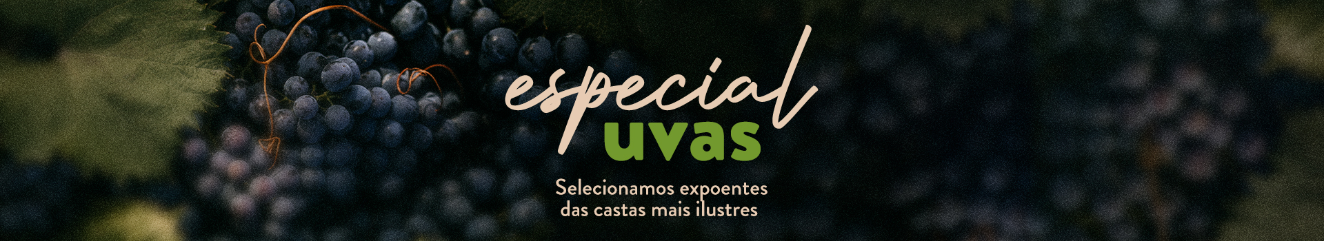 Especial Uvas 