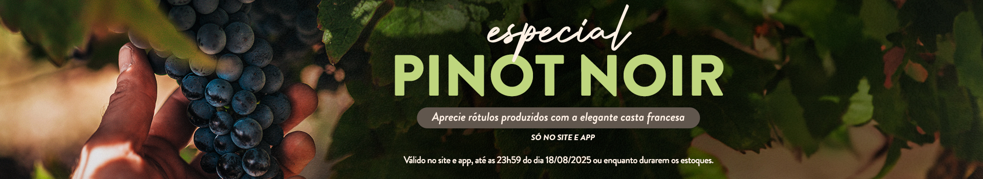 Seleção Pinot Noir