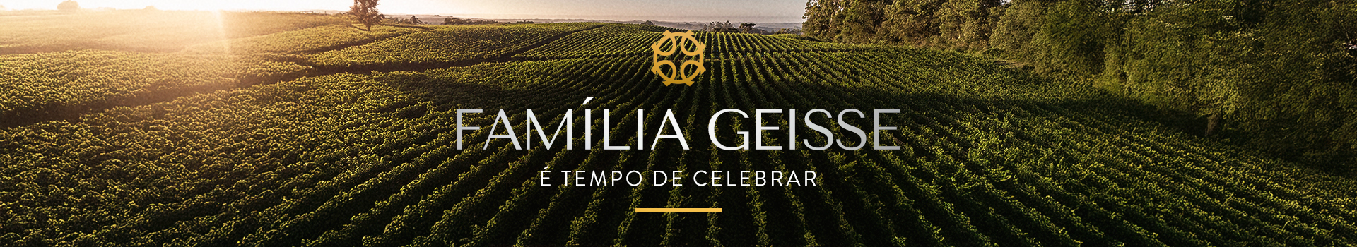 Família Geisse Família Geisse