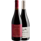 Seleção de Rótulos por Pietro Ferrari