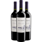 Kit 3 Zuccardi Q Cabernet Franc