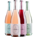 Kit Linha Nieto Senetiner Camila Cocktail