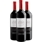 Kit 3 San Pedro 1865 Selected Vineyards Cabernet Sauvignon 