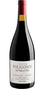 Zuccardi Poligonos Malbec Gualtallary 2020 750mL