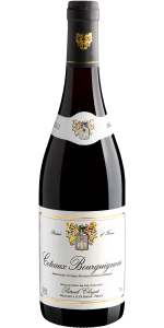 Patrick Clerget Coteaux Bourguignons AOP 750mL