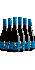 Kit Sexteto Leyda Single Vineyard Las Brisas Pinot Noir 2021 