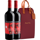 Kit 2 Planeta Burdese 2017 + Bolsa Grand Cru