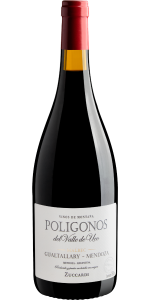 Zuccardi Poligonos Malbec Gualtallary