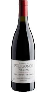 Zuccardi Poligonos Valle de Uco Cabernet Franc Gualtallary