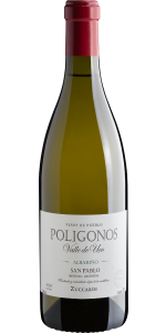Zuccardi Poligonos Valle de Uco Albariño San Pablo