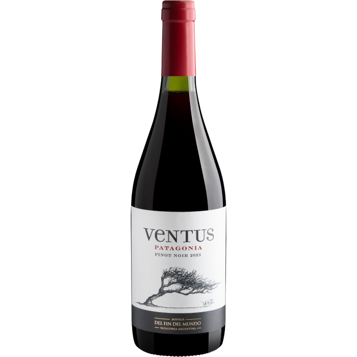 Vinho Bodega Del Fin Del Mundo Tinto Seco Argentina Ventus Pinot Noir 2023 750ml